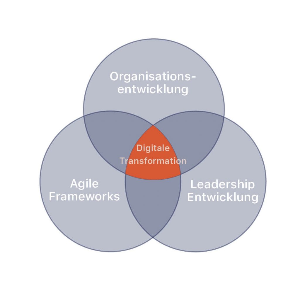Venn-Diagramm zeigt Schnittpunkt von Organisationsentwicklung, Agile Frameworks und Leadership Entwicklung, hervorgehoben als Digitale Transformation.